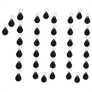 Chaveiro-Tag-Mifare-1356mhz-Kit-100pcs